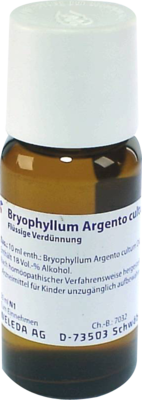 BRYOPHYLLUM ARGENTO cultum D 3 Dilution