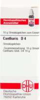 CANTHARIS D 4 Globuli