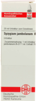 SYZYGIUM JAMBOLANUM Urtinktur D 1