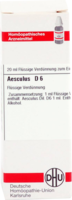 AESCULUS D 6 Dilution
