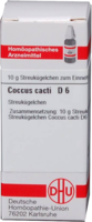 COCCUS cacti D 6 Globuli