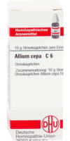 ALLIUM CEPA C 6 Globuli