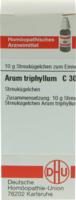 ARUM TRIPHYLLUM C 30 Globuli