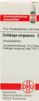 SOLIDAGO VIRGAUREA D 12 Globuli