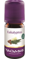 EUKALYPTUS ÖL Bio
