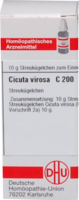 CICUTA VIROSA C 200 Globuli