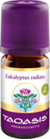 EUKALYPTUS ÖL Radiata Bio