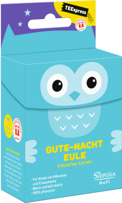 SIDROGA TEExpress Gute-Nacht Eule