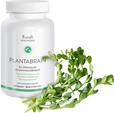 PLANTABRAIN Gehirnkapseln