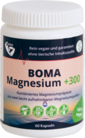 MAGNESIUM+300 Kapseln