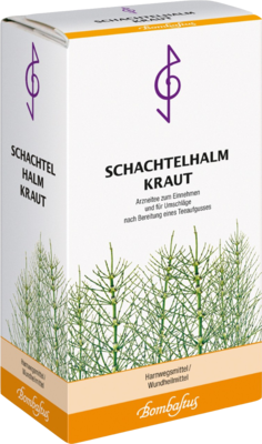 SCHACHTELHALMKRAUT Tee