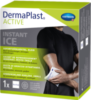 DERMAPLAST Active Instant Ice klein 15x17 cm