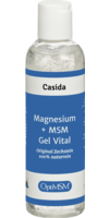MAGNESIUM+MSM Gel Vital Zechstein